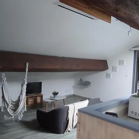 Apartment Sous Les Toits *