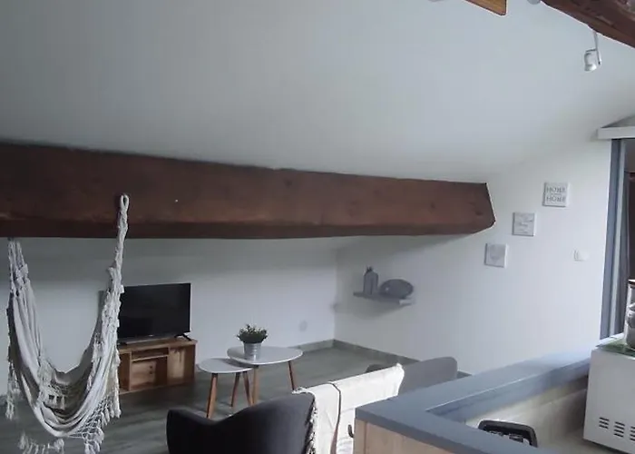 Apartment Sous Les Toits *